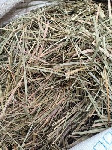 Dried Lemongrass Leaves