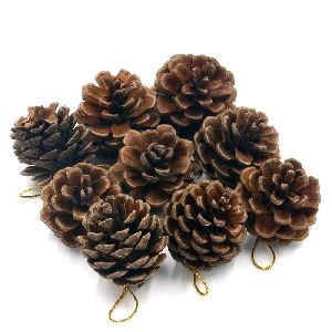 Natural Dried Pine Cones