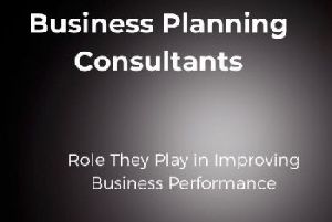 Business Consultant Services