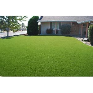 Artificial Green Grass