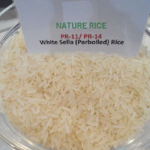 PR 11-PR 14 Creamy Sella Rice