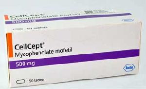 Buy Cellcept 500 mg 50 Tab Mycophenolate Mofetil Roche