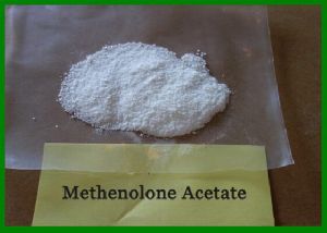 Buy Methenolone Acetate (Primobolan)