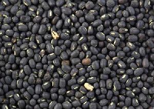 Black Mung Beans