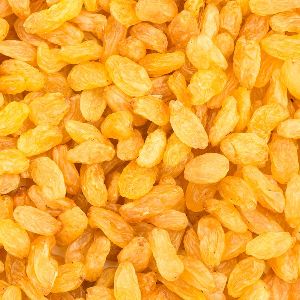 golden raisins