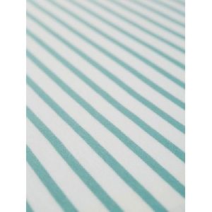Blue Stripe Fabric
