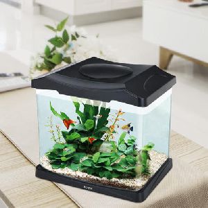 Mini Aquarium