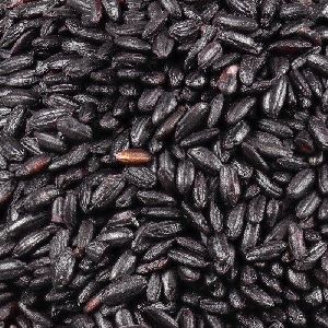 Black Rice/LANCHENBI MANIPUR