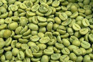 green coffee beans