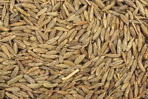 cumin seeds