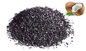 COCONUT SHELL STEAM ACTIVATED CARBON