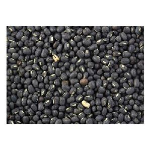 Black Urad Dal