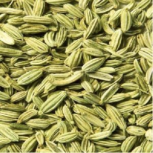 fennel seeds