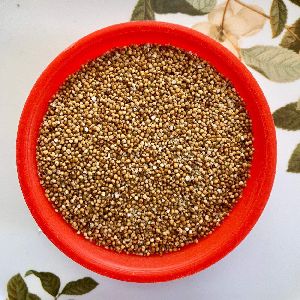 Kodo Millet Seeds