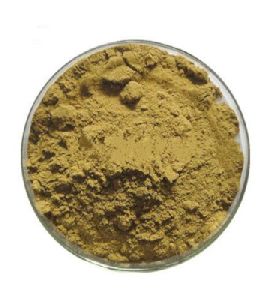 Castor Seed Powder