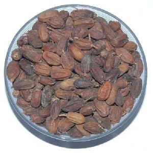 neem seeds