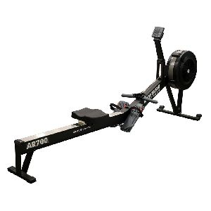 Commercial Air Rower