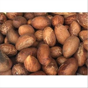 Bitter Kola Nuts