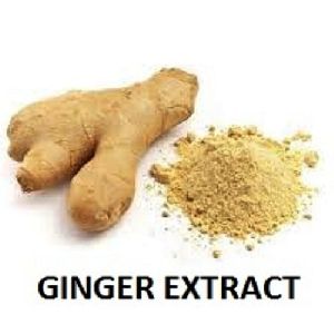 Ginger Extract - Zingiber Officinalis