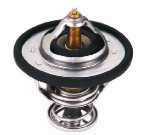 Thermostat Insert