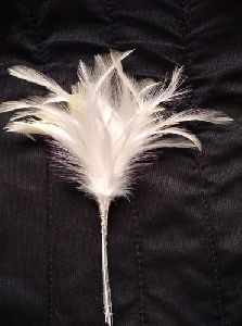 White Bird Feather