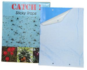 Blue Sticky traps