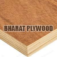 Poplar Plywood (12mm)