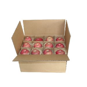 Corrugated Fruit Packaging Box