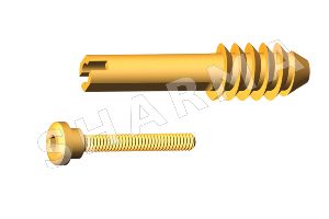 DHS Compression screw