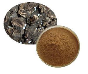 Black Cohosh Extract Powder