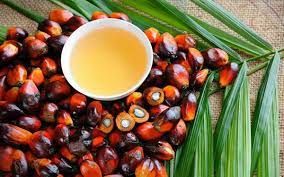 palm oil