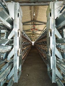 Layer Battery Cages