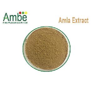 Amla Extract