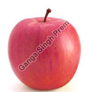 Fresh Fuji Red Apple