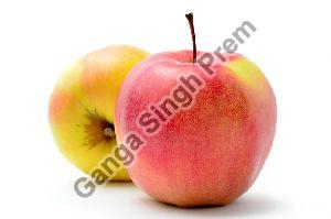 Fresh Jonagold Apple