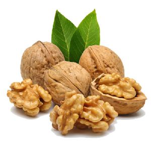 Dried Walnuts