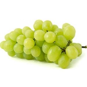 fresh green grapes