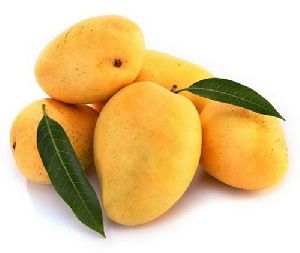 fresh mango