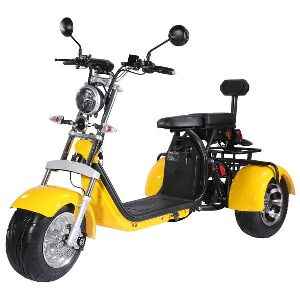 FAST DELIVERY New Citycoco 2000w Fat Tire Tricycle Electric Scooter