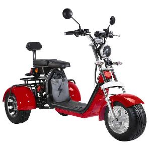 FAST DELIVERY New EEC COC Approved Citycoco 3 wheel trike motorcycle