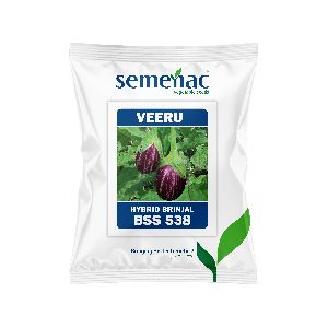 SVSPL BRINJAL Seeds | 10 gm | Variety: Veeru