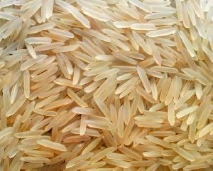 1509 Basmati Golden Rice