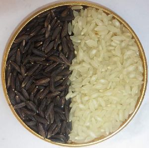 Black Salt Rice