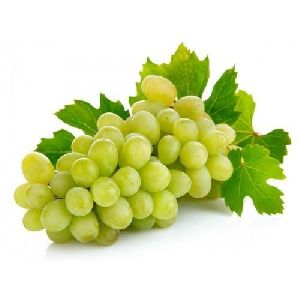 fresh green grapes