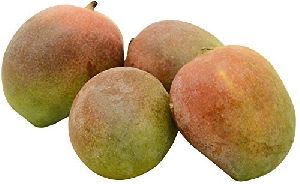 Fresh Kalapad Mango