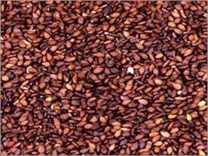Red- Brown Sesame seed