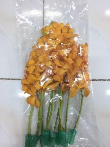 Orange Mokara Orchid Flower