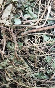 Dried Brahmi Leaves