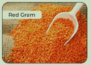 red gram