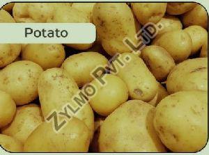 fresh potato